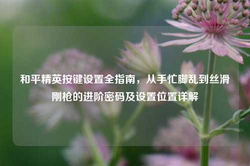 和平精英按键设置全指南，从手忙脚乱到丝滑刚枪的进阶密码及设置位置详解