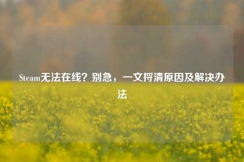 Steam无法在线？别急，一文捋清原因及解决办法