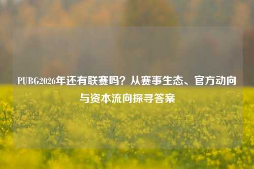 PUBG2026年还有联赛吗?从赛事生态、官方动向与资本流向探寻答案