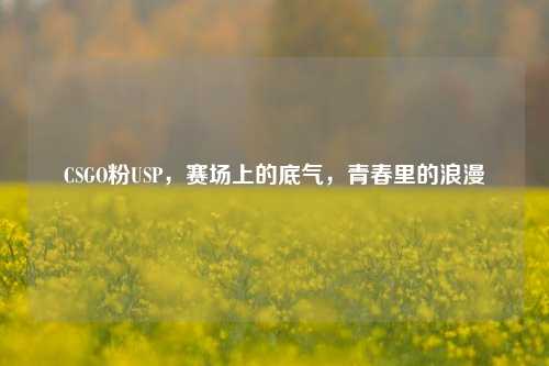 CSGO粉USP,赛场上的底气,青春里的浪漫