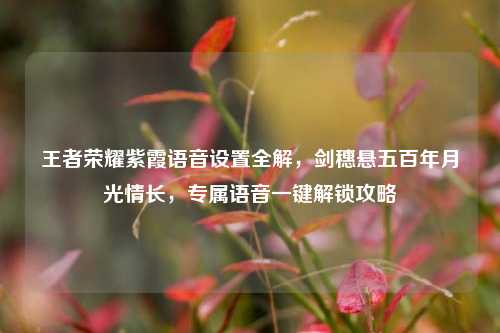 王者荣耀紫霞语音设置全解,剑穗悬五百年月光情长,专属语音一键解锁攻略