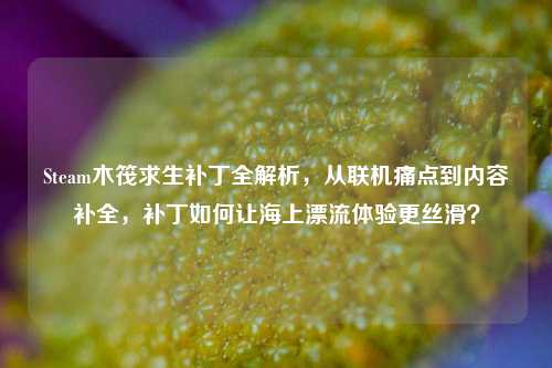 Steam木筏求生补丁全解析，从联机痛点到内容补全，补丁如何让海上漂流体验更丝滑？