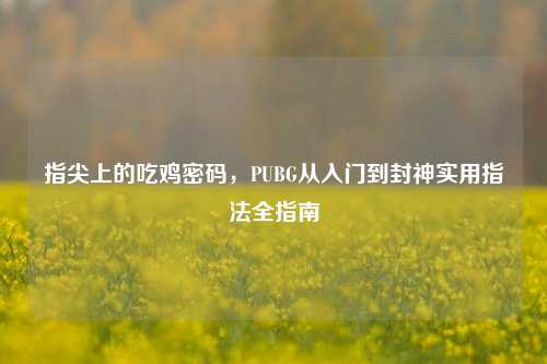 指尖上的吃鸡密码,PUBG从入门到封神实用指法全指南