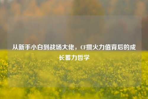 从新手小白到战场大佬,CF攒火力值背后的成长蓄力哲学