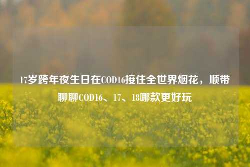 17岁跨年夜生日在COD16接住全世界烟花,顺带聊聊COD16、17、18哪款更好玩
