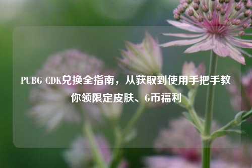 PUBG CDK兑换全指南，从获取到使用手把手教你领限定皮肤、G币福利