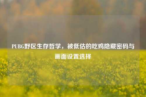 PUBG野区生存哲学,被低估的吃鸡隐藏密码与画面设置选择