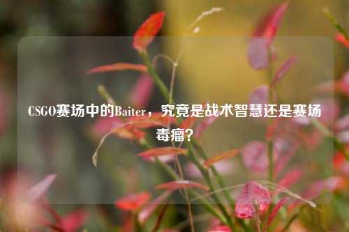 CSGO赛场中的Baiter，究竟是战术智慧还是赛场毒瘤？
