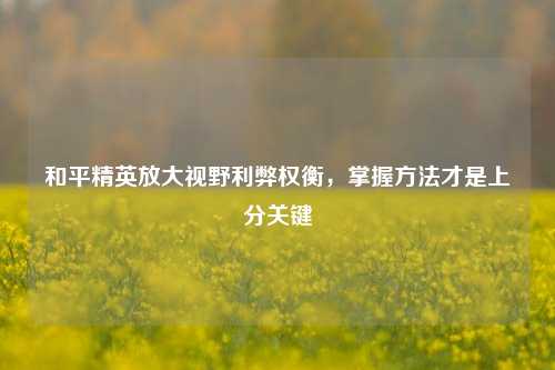 和平精英放大视野利弊权衡,掌握方法才是上分关键