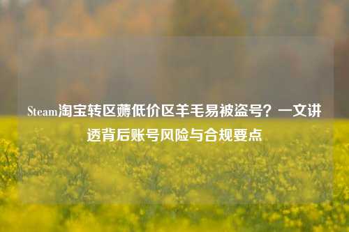 Steam淘宝转区薅低价区羊毛易被盗号？一文讲透背后账号风险与合规要点