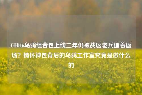 COD16乌鸦组合包上线三年仍被战区老兵追着返场?情怀神包背后的乌鸦工作室究竟是做什么的