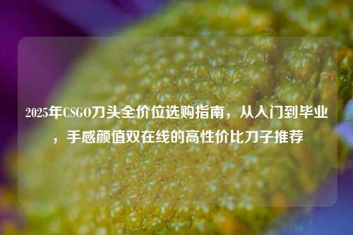 2025年CSGO刀头全价位选购指南,从入门到毕业,手感颜值双在线的高性价比刀子推荐