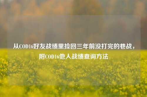 从COD16好友战绩里捡回三年前没打完的巷战,附COD16他人战绩查询方法