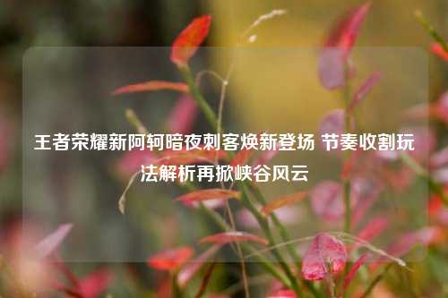王者荣耀新阿轲暗夜刺客焕新登场 节奏收割玩法解析再掀峡谷风云