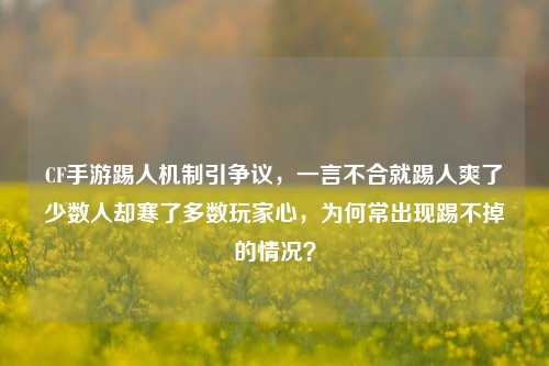 CF手游踢人机制引争议,一言不合就踢人爽了少数人却寒了多数玩家心,为何常出现踢不掉的情况?