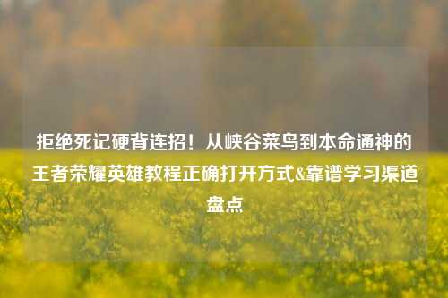 拒绝死记硬背连招!从峡谷菜鸟到本命通神的王者荣耀英雄教程正确打开方式&靠谱学习渠道盘点