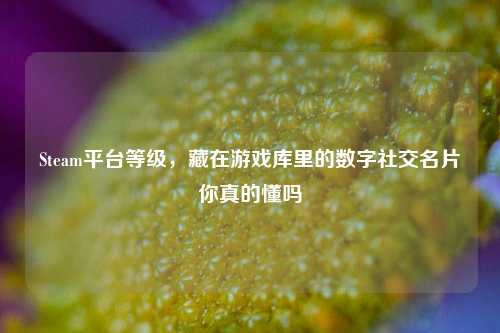 Steam平台等级,藏在游戏库里的数字社交名片你真的懂吗