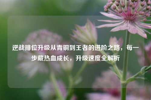 逆战排位升级从青铜到王者的进阶之路,每一步藏热血成长,升级速度全解析