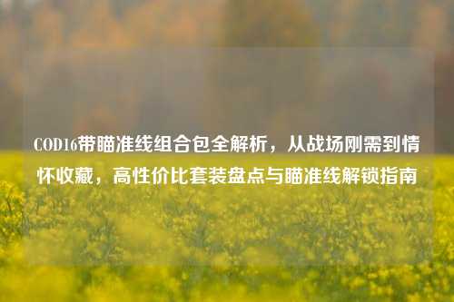 COD16带瞄准线组合包全解析,从战场刚需到情怀收藏,高性价比套装盘点与瞄准线解锁指南