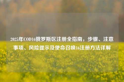 2025年COD16俄罗斯区注册全指南,步骤、注意事项、风险提示及使命召唤16注册方法详解
