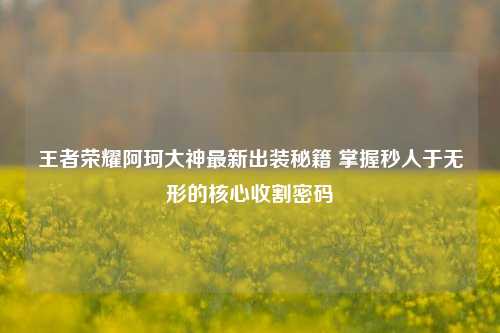 王者荣耀阿珂大神最新出装秘籍 掌握秒人于无形的核心收割密码