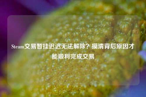 Steam交易暂挂迟迟无法解除?摸清背后原因才能顺利完成交易