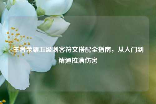 王者荣耀五级刺客符文搭配全指南,从入门到精通拉满伤害