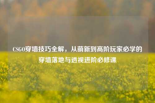 CSGO穿墙技巧全解,从萌新到高阶玩家必学的穿墙落地与透视进阶必修课