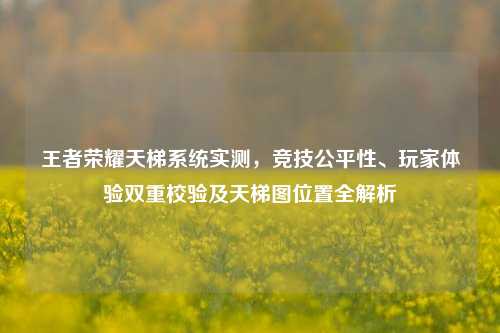 王者荣耀天梯系统实测,竞技公平性、玩家体验双重校验及天梯图位置全解析