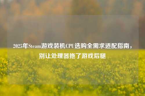 2025年Steam游戏装机CPU选购全需求适配指南,别让处理器拖了游戏后腿