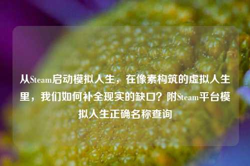 从Steam启动模拟人生，在像素构筑的虚拟人生里，我们如何补全现实的缺口？附Steam平台模拟人生正确名称查询
