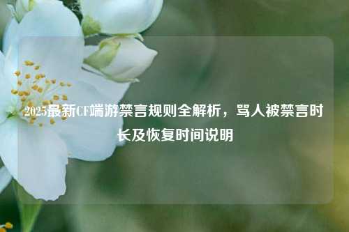 2025最新CF端游禁言规则全解析,骂人被禁言时长及恢复时间说明