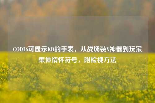 COD16可显示KD的手表,从战场装X神器到玩家集体情怀符号,附检视方法