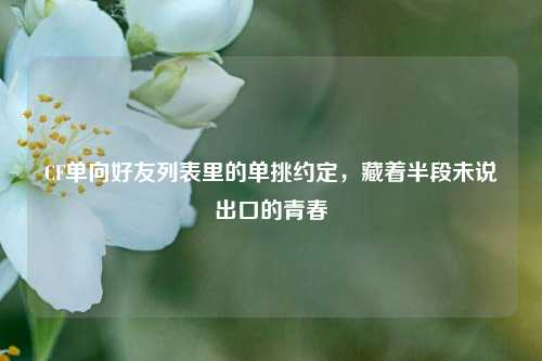 CF单向好友列表里的单挑约定，藏着半段未说出口的青春
