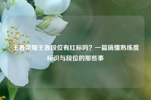 王者荣耀王者段位有红标吗？一篇搞懂熟练度标识与段位的那些事