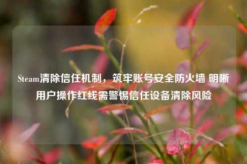 Steam清除信任机制，筑牢账号安全防火墙 明晰用户操作红线需警惕信任设备清除风险