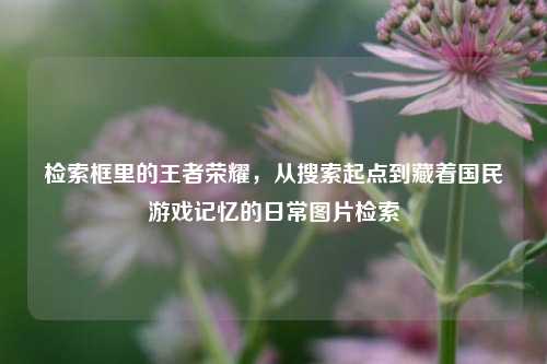 检索框里的王者荣耀,从搜索起点到藏着国民游戏记忆的日常图片检索