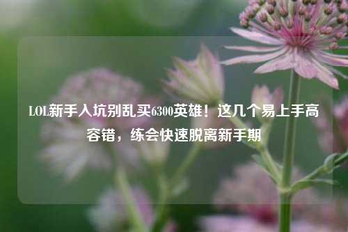 LOL新手入坑别乱买6300英雄!这几个易上手高容错,练会快速脱离新手期