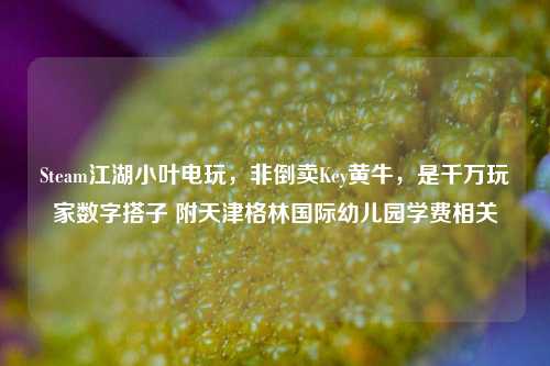 Steam江湖小叶电玩，非倒卖Key黄牛，是千万玩家数字搭子 附天津格林国际幼儿园学费相关