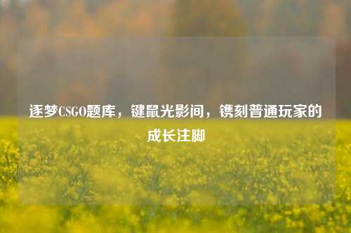 逐梦CSGO题库,键鼠光影间,镌刻普通玩家的成长注脚