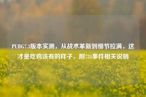 PUBG7.3版本实测,从战术革新到细节拉满,这才是吃鸡该有的样子,附731事件相关说明