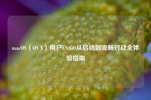 macOS（OS X）用户CS:GO从启动到流畅对战全体验指南