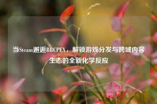 当Steam邂逅BBCPEX,解锁游戏分发与跨域内容生态的全新化学反应