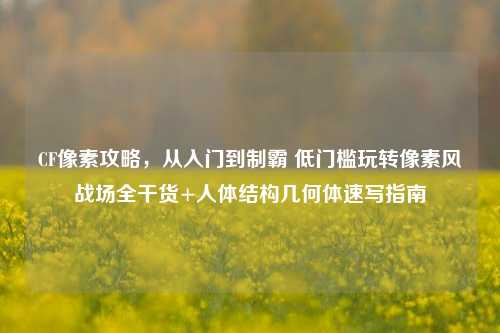 CF像素攻略，从入门到制霸 低门槛玩转像素风战场全干货+人体结构几何体速写指南