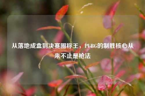 从落地成盒到决赛圈称王,PUBG的制胜核心从来不止是枪法
