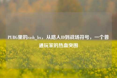 PUBG里的rash_bx，从路人ID到战场符号，一个普通玩家的热血突围