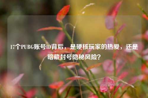 17个PUBG账号ID背后,是硬核玩家的热爱,还是暗藏封号隐秘风险?