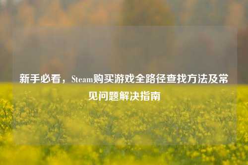 新手必看,Steam购买游戏全路径查找方法及常见问题解决指南