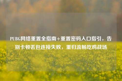 PUBG网络重置全指南+重置密码入口指引,告别卡顿丢包连接失败,重归流畅吃鸡战场