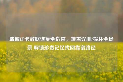 增城CF卡数据恢复全指南,覆盖误删/损坏全场景 解锁珍贵记忆找回靠谱路径
